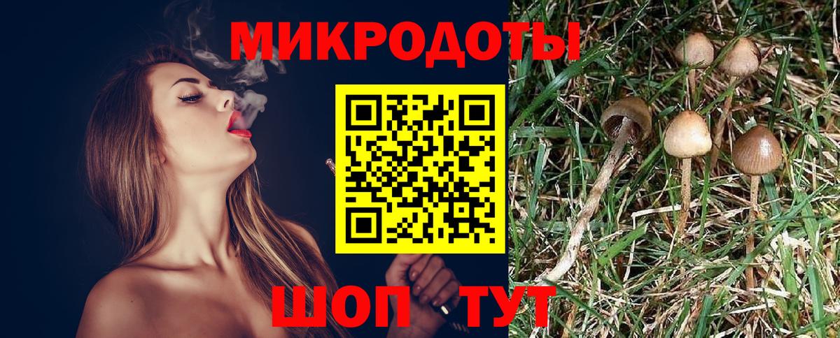 Галлюциногенные грибы мухоморы  Вход с VPN  Серпухов 